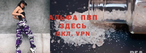 спайс Богданович