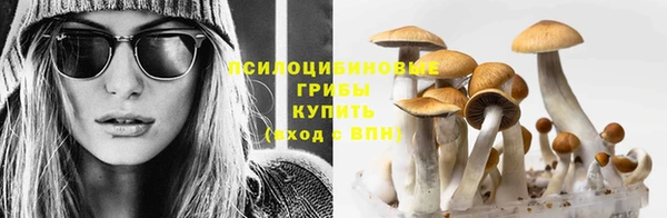 мескалин Богородицк