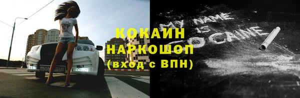 спайс Богданович