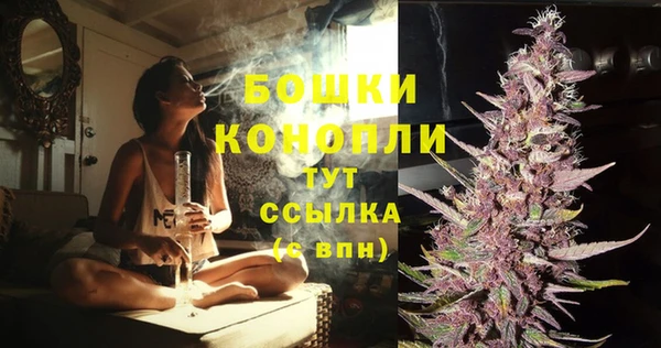 мескалин Богородицк