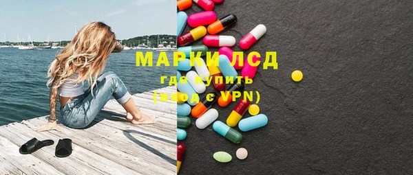 спайс Богданович