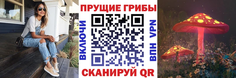 Купить  Кимры  Галлюциногенные грибы MAGIC MUSHROOMS 